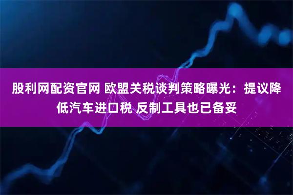 股利网配资官网 欧盟关税谈判策略曝光：提议降低汽车进口税 反制工具也已备妥