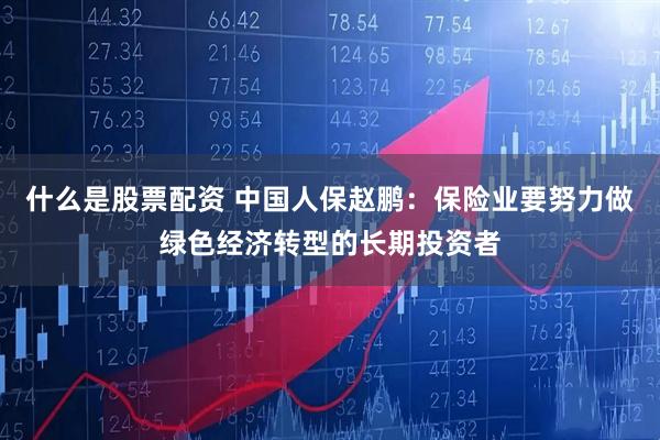 什么是股票配资 中国人保赵鹏：保险业要努力做绿色经济转型的长期投资者