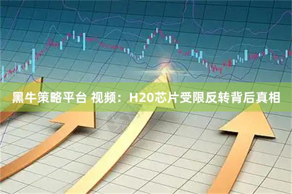 黑牛策略平台 视频：H20芯片受限反转背后真相