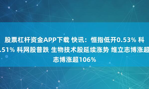 股票杠杆资金APP下载 快讯：恒指低开0.53% 科指跌0.51% 科网股普跌 生物技术股延续涨势 维立志博涨超106%