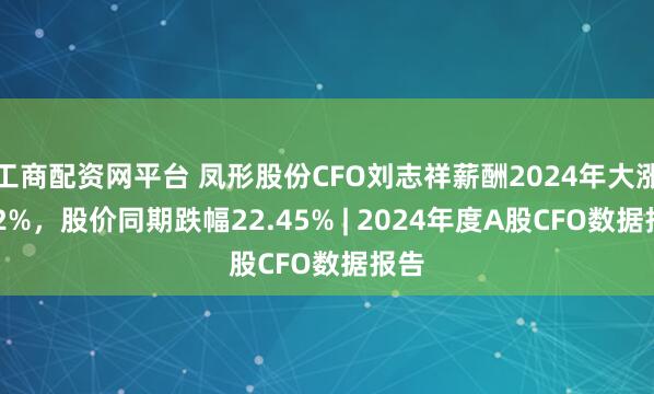 工商配资网平台 凤形股份CFO刘志祥薪酬2024年大涨122%，股价同期跌幅22.45% | 2024年度A股CFO数据报告