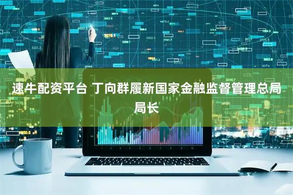 速牛配资平台 丁向群履新国家金融监督管理总局局长
